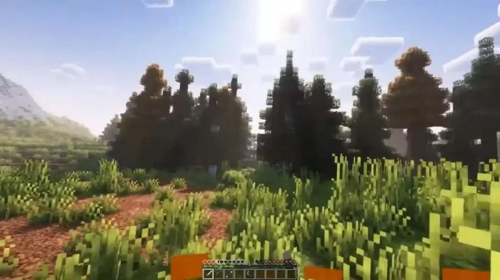 The Best Mods to Enhance Your 3D Minecraft Experience